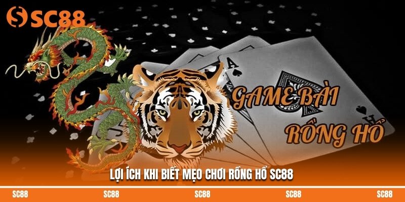 Lợi ích khi biết mẹo chơi rồng hổ SC88