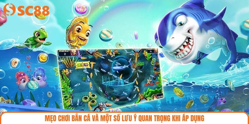 Mẹo chơi bắn cá và một số lưu ý quan trọng khi áp dụng