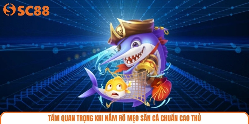 Tầm quan trọng khi nắm rõ mẹo săn cá chuẩn cao thủ